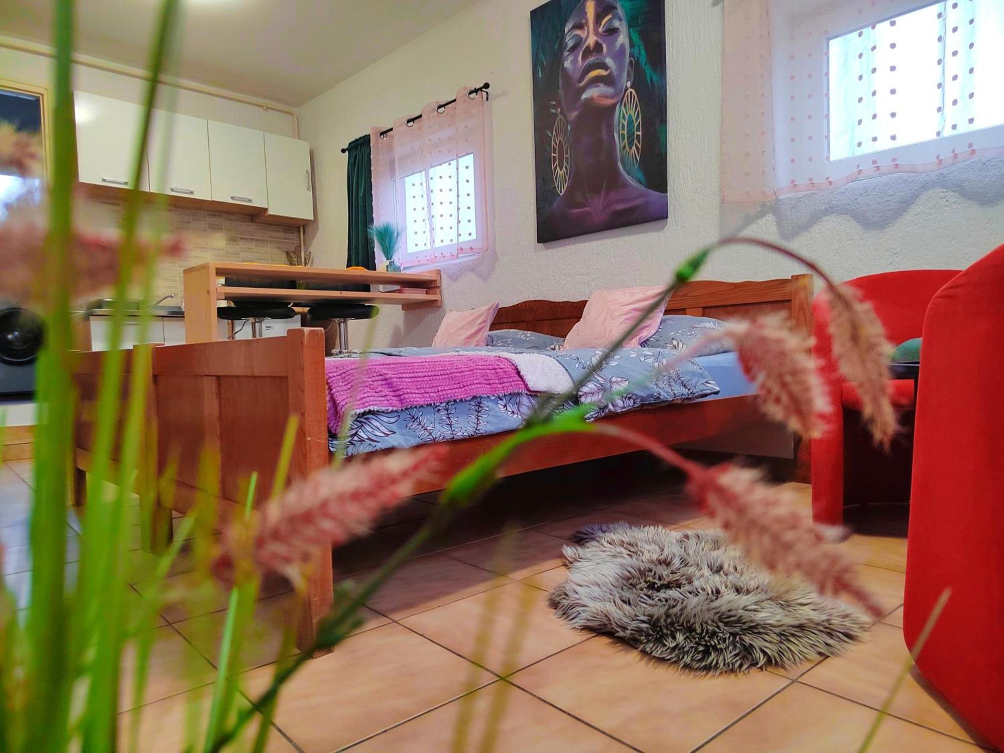 Apartman Jezz Ii, 萨格勒布 外观 照片
